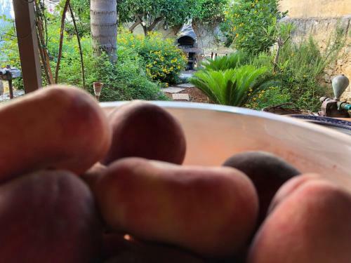 Bed & Breakfast La Pergola
