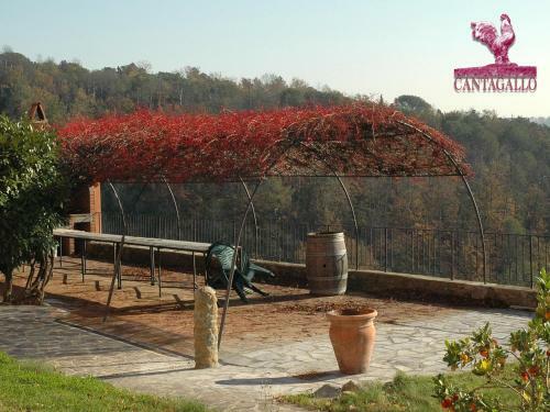Agroturismo Agriturismo Tenuta Cantagallo