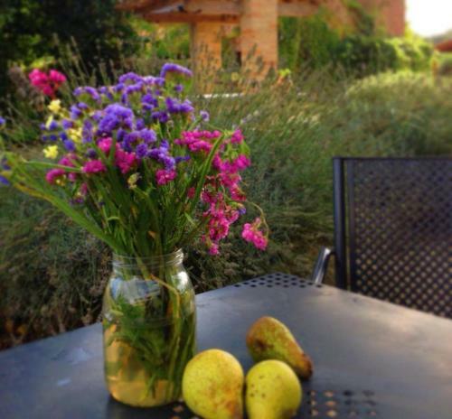 Agroturismo Agriturismo Pian Del Tevere