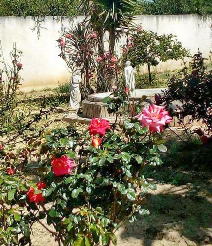 Bed & Breakfast Villa Rosa Maria