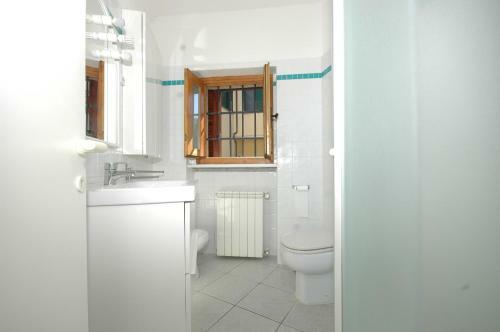 Bouganville 2
