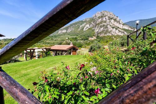Apartamento Country House Felicia