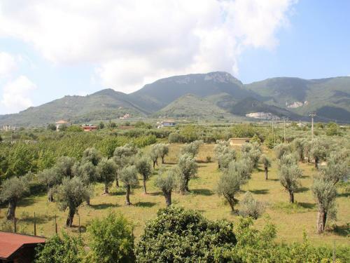 Villa Sofia B&B