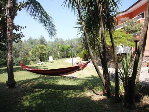 Villa Sofia B&B
