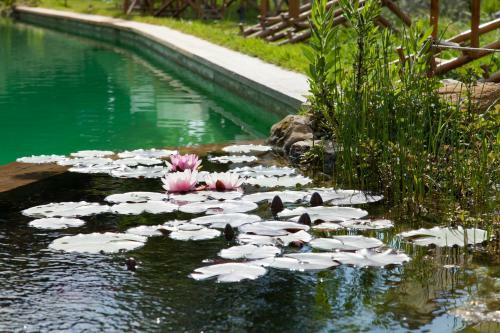 Agroturismo Il Paluffo