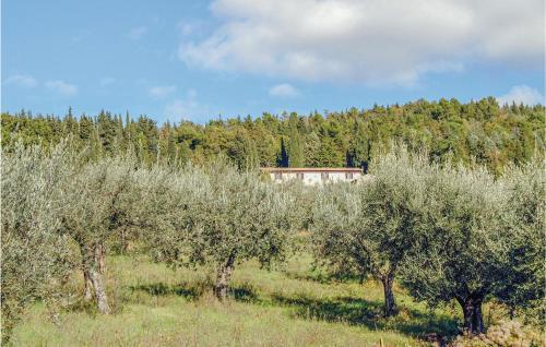 Apartamento Il Fornetto