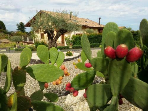 I Colori Del Sole