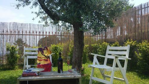 I Colori Del Sole