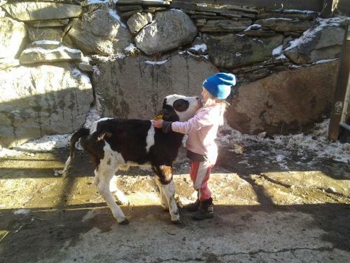 Almh�tte Gorgasser