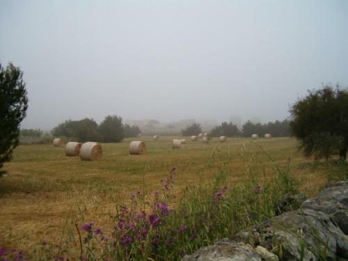 Agroturismo Casa Vacanze La Gebbia