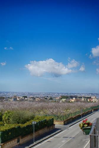 Bed And Breakfast Sommavesuvio