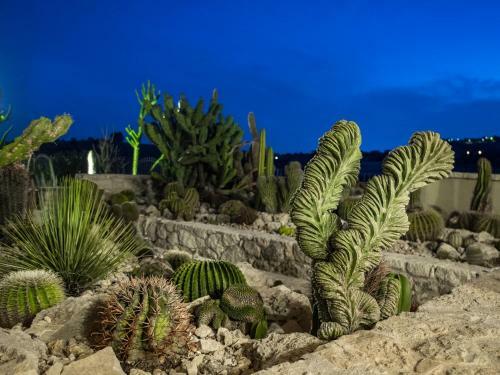 Relais Garden Cactus B&B