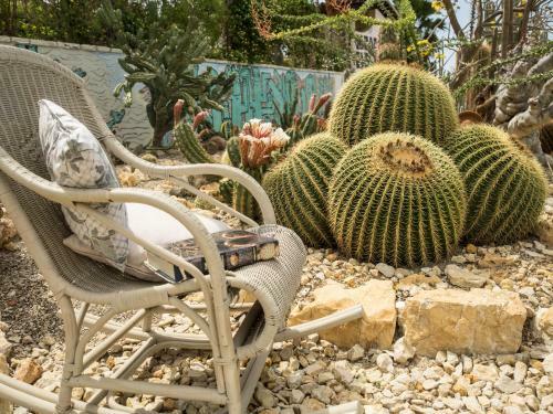 Relais Garden Cactus B&B
