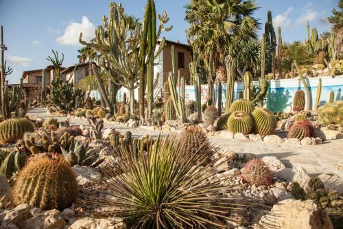 Relais Garden Cactus B&B