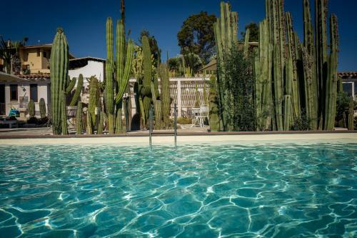 Relais Garden Cactus B&B