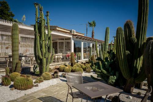 Relais Garden Cactus B&B