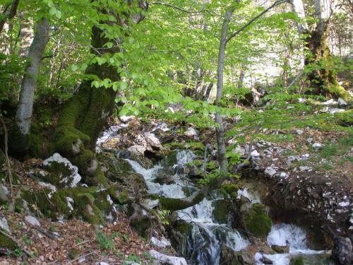 Hostal Turismo Rurale Le Grazie