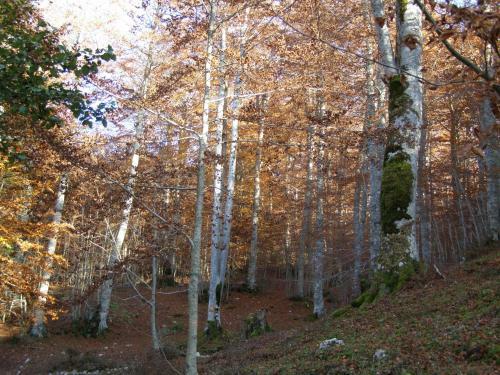 Hostal Turismo Rurale Le Grazie