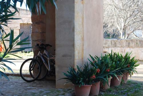 Agroturismo Son Vivot
