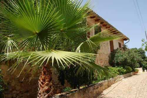 Agroturismo Son Vivot