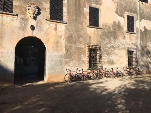 Agroturismo Son Vivot