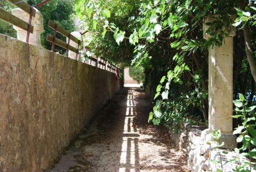 Agroturismo Son Vivot