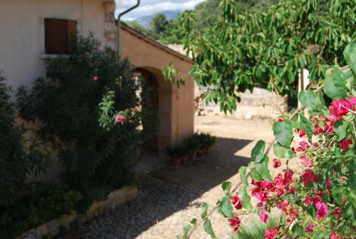 Agroturismo Son Vivot