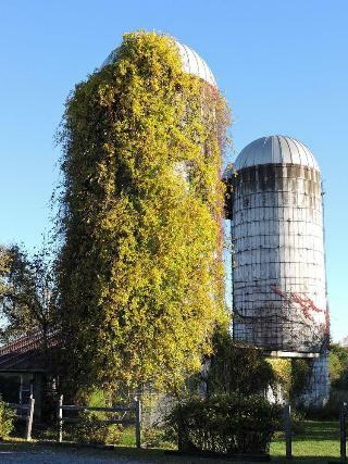 Saratoga Farmstead B&B