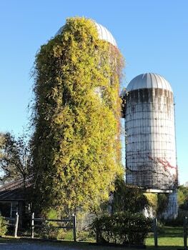 Saratoga Farmstead B&B