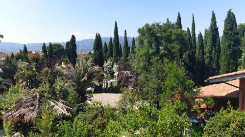 Apartamento Il Cipresso Del Gallo