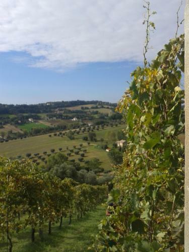 Bed And Breakfast Aratro & Rosmarino