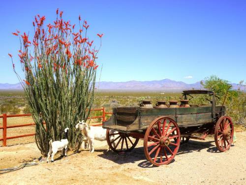 Hotel Stagecoach Trails Guest Ranch