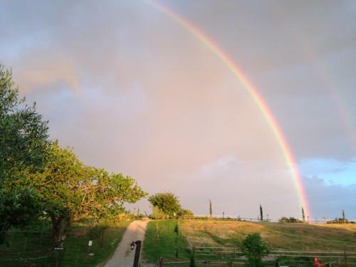 Agroturismo Podere Delle Rose