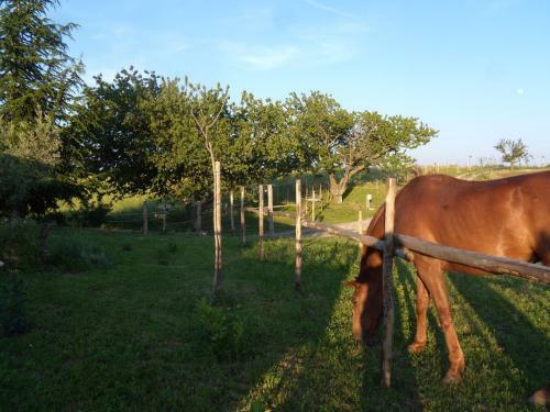 Agroturismo Podere Delle Rose