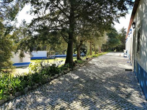 Agroturismo Quinta Dos Anjos