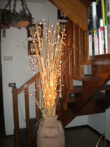 Agroturismo B&B Serra Pineta