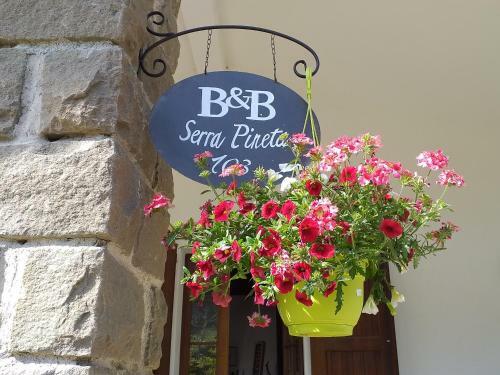 Agroturismo B&B Serra Pineta