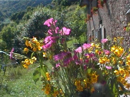 Hostal Agriturismo Le Fratte