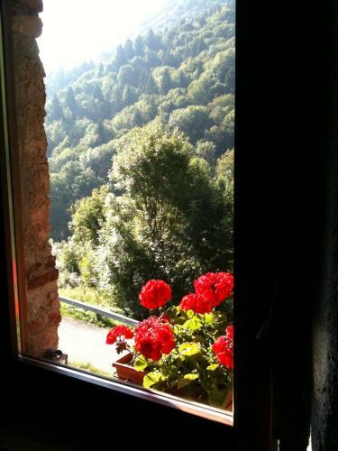 Hostal Agriturismo Le Fratte