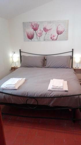 B&B Bucaneve