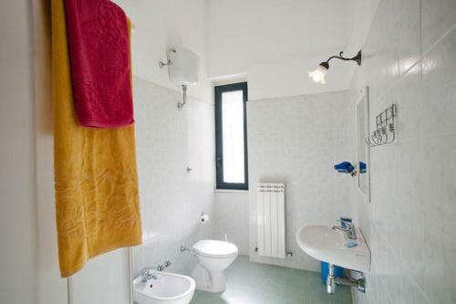 B&B Ixia