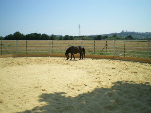 Agroturismo Conero Ranch