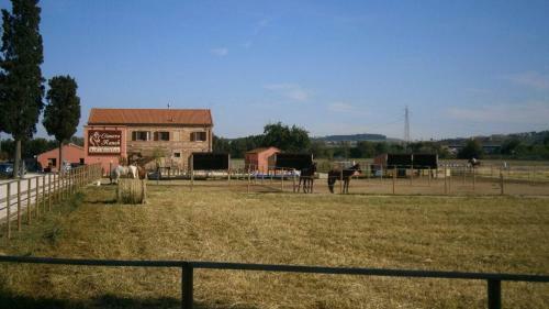Agroturismo Conero Ranch
