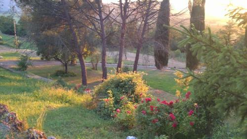 Hostal Villa Magda