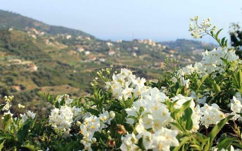 Agroturismo Agriturismo Da Lu�