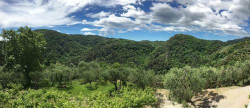 Apartamento Caddelovi
