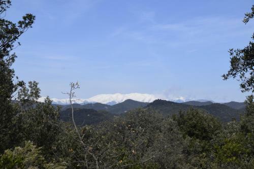 Agroturismo Ca La Tambona