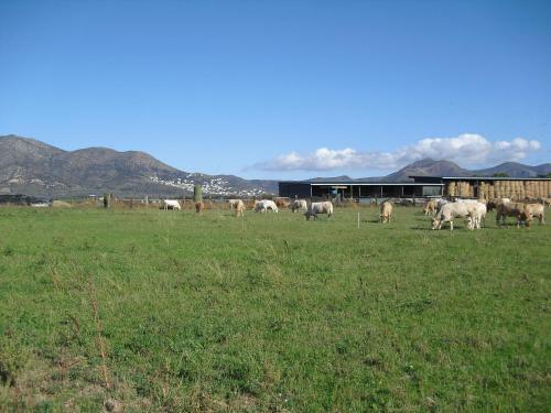 Agroturismo Mas La Torre