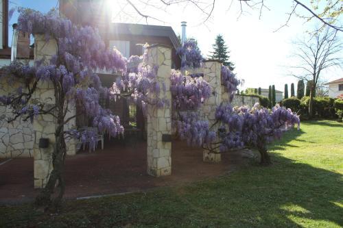 B&B Villa Sbaraglia