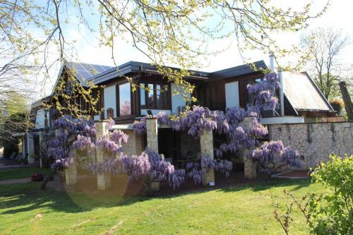 B&B Villa Sbaraglia